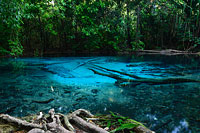 ทัวร์น้ำตกร้อน สระมรกต วัดถ้ำเสือ