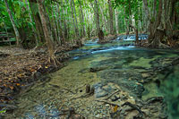 ทัวร์น้ำตกร้อน สระมรกต วัดถ้ำเสือ