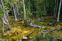 ทัวร์น้ำตกร้อน สระมรกต วัดถ้ำเสือ