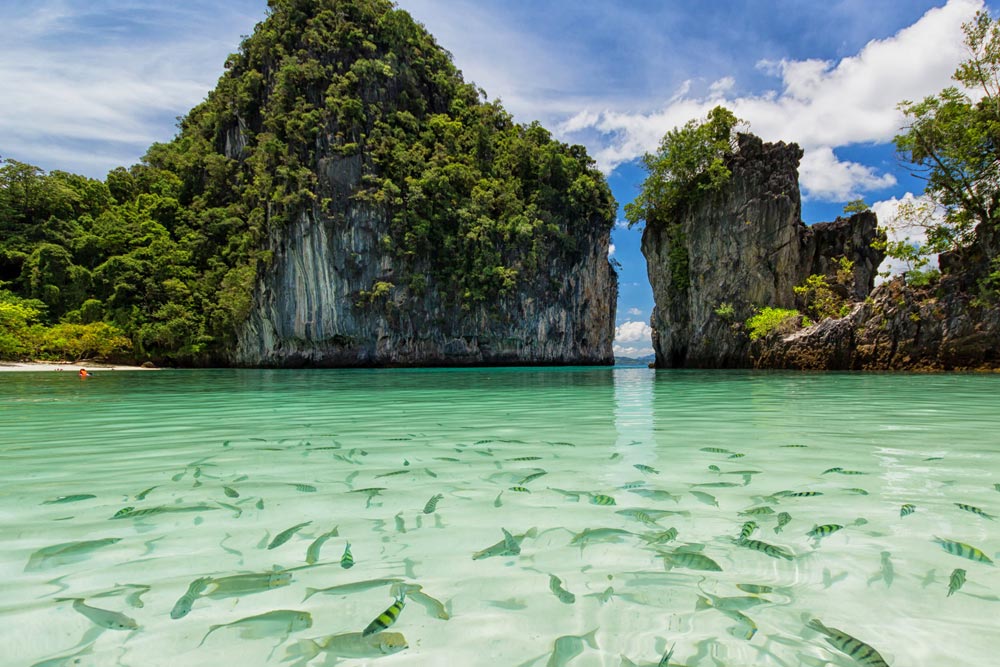 ทัวร์เกาะห้อง กระบี่ โดยเรือหางยาวหรือเรือเร็วสปีดโบ๊ท