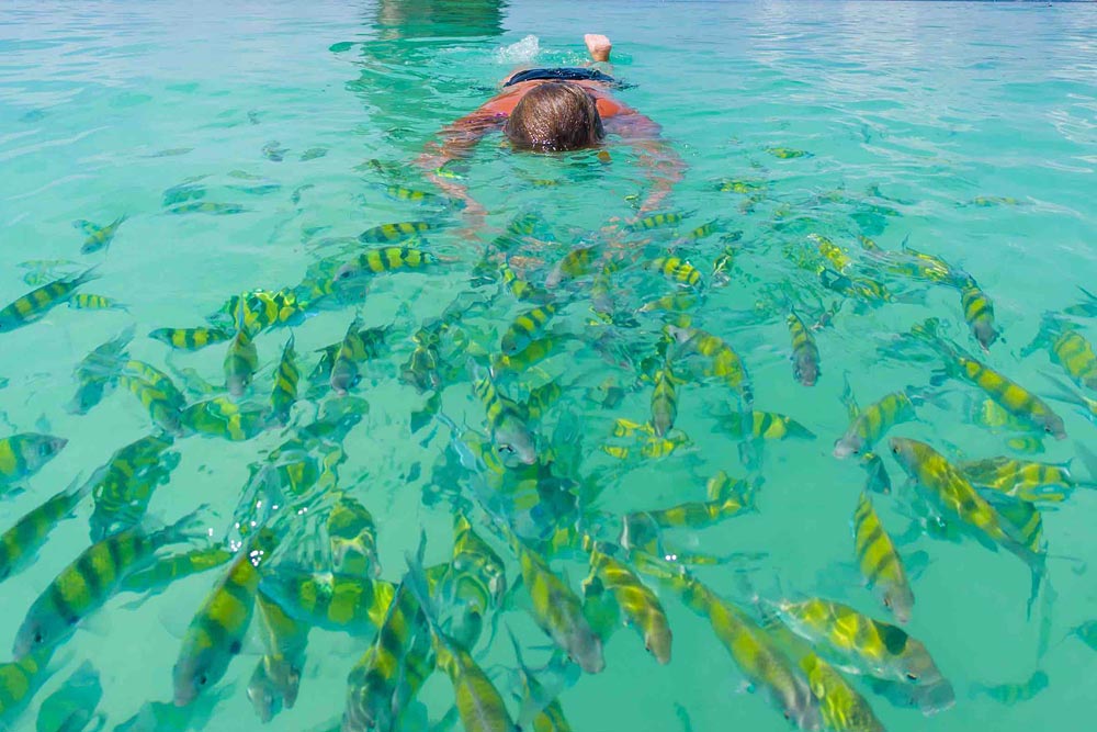 ทัวร์เกาะห้อง กระบี่ โดยเรือหางยาวหรือเรือเร็วสปีดโบ๊ท