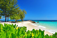 ทัวร์เกาะราชา+เกาะไม้ท่อนโดยเรือเร็ว