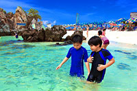 ทัวร์เกาะพีพี+เกาะไข่ อ่าวมาหยา โดยเรือใหญ่
