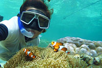 ล่องเรือใบ เกาะไม้ท่อน เต็มวัน เช้า/บ่าย