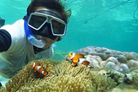 ล่องเรือ Discover Catamaran ทัวร์เกาะราชา เกาะไม้ท่อน