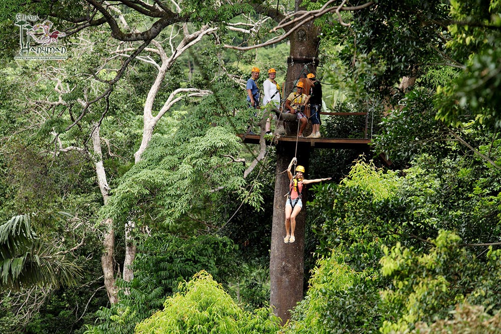 ฟลายอิ้งหนุมาน ซิปไลน์ ภูเก็ต (Flying Hanuman Phuket)