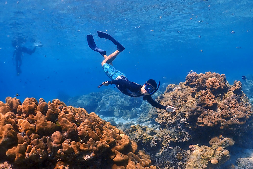 ทัวร์เกาะราชาน้อย เกาะราชาใหญ่ เกาะไม้ท่อน กับ Seastar Andaman