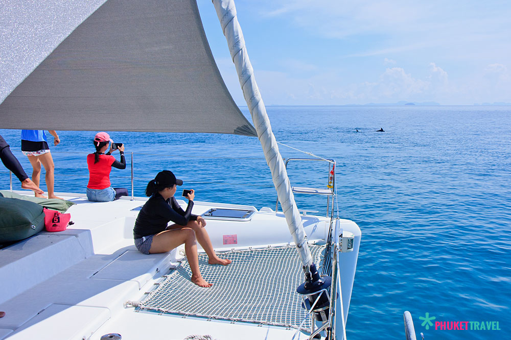 ทัวร์ล่องเรือใบเกาะไม้ท่อนและอ่าวยนกับ Discover Catamaran
