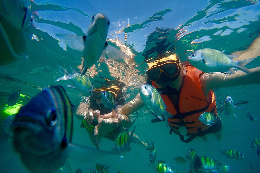 ทัวร์ล่องเรือใบเกาะไม้ท่อนและอ่าวยนกับ Discover Catamaran