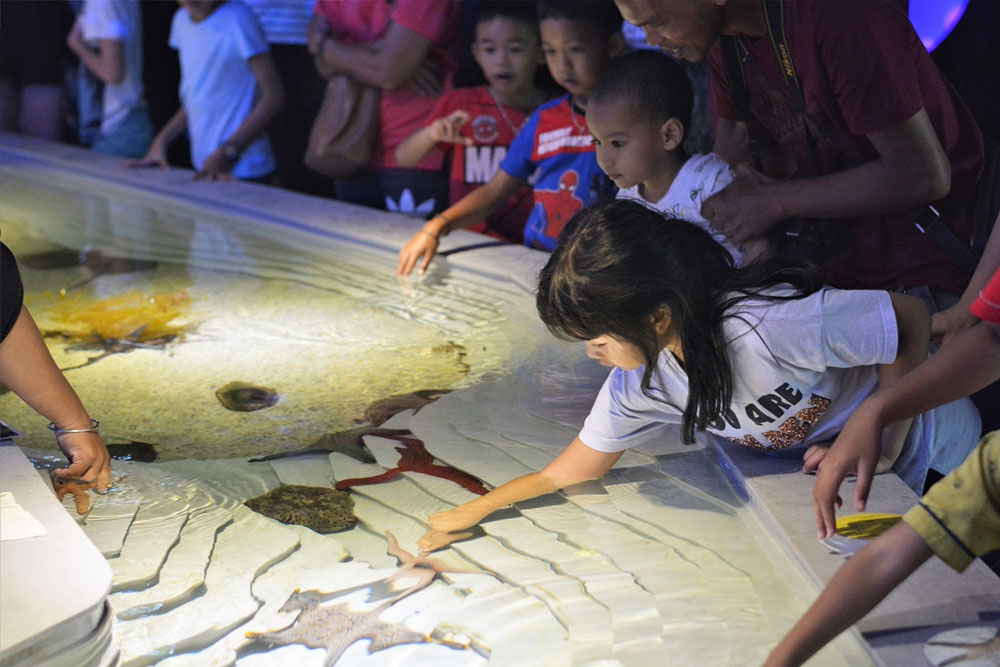 ตั๋ว อควาเรีย ภูเก็ต (Aquaria Phuket)