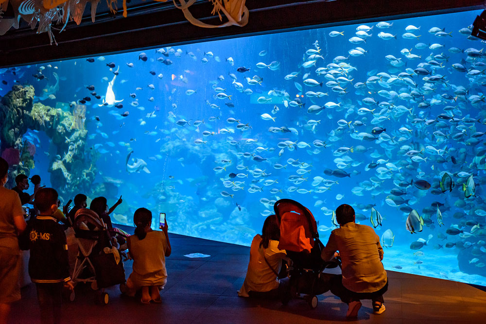 ตั๋ว อควาเรีย ภูเก็ต (Aquaria Phuket)