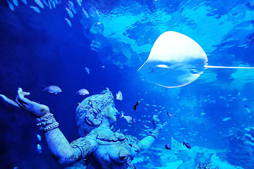 ตั๋ว อควาเรีย ภูเก็ต (Aquaria Phuket)