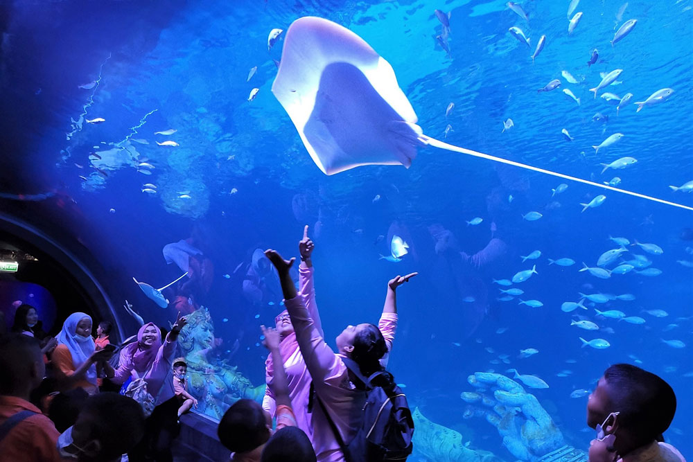 ตั๋ว อควาเรีย ภูเก็ต (Aquaria Phuket)