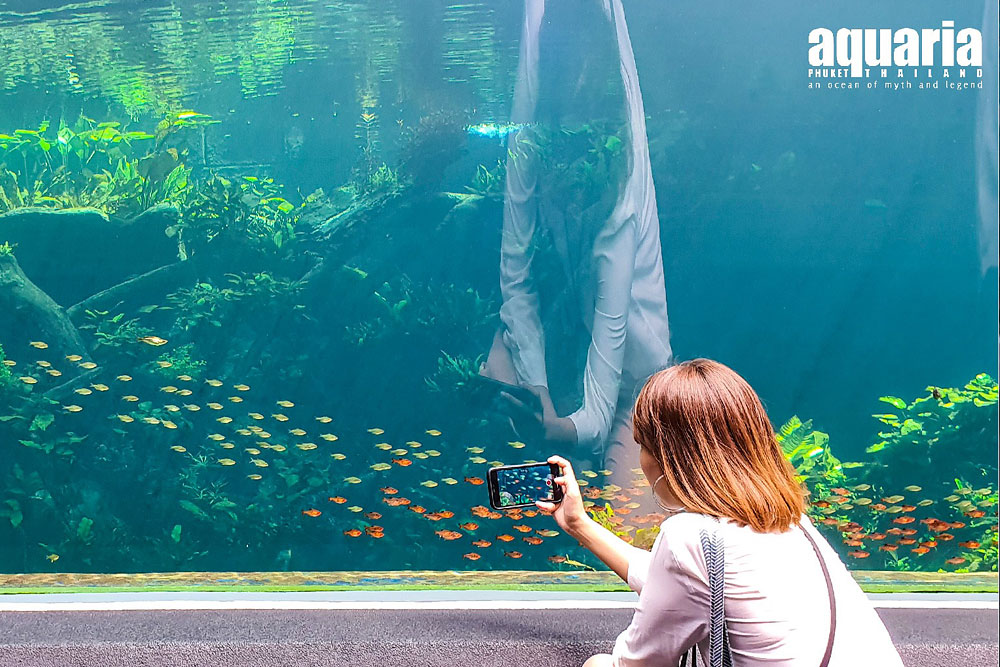 ตั๋ว อควาเรีย ภูเก็ต (Aquaria Phuket)