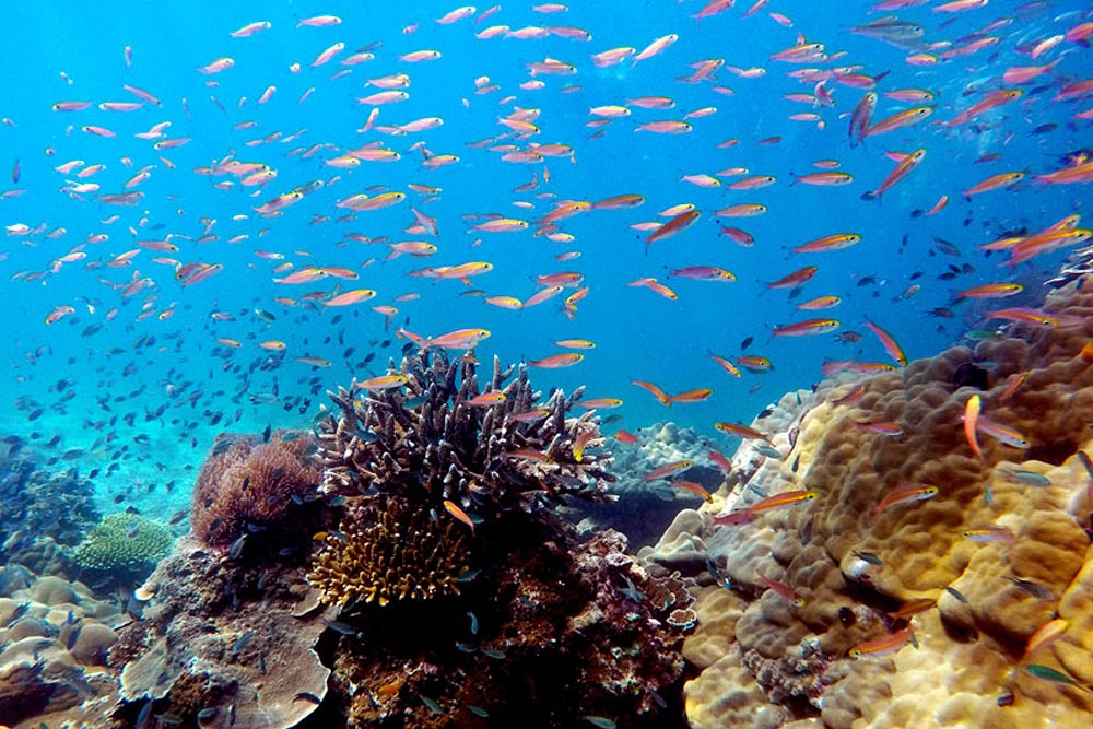 ทัวร์ทะเลพม่า 3 เกาะ เกาะหัวใจมรกต ทริปวันเดียว