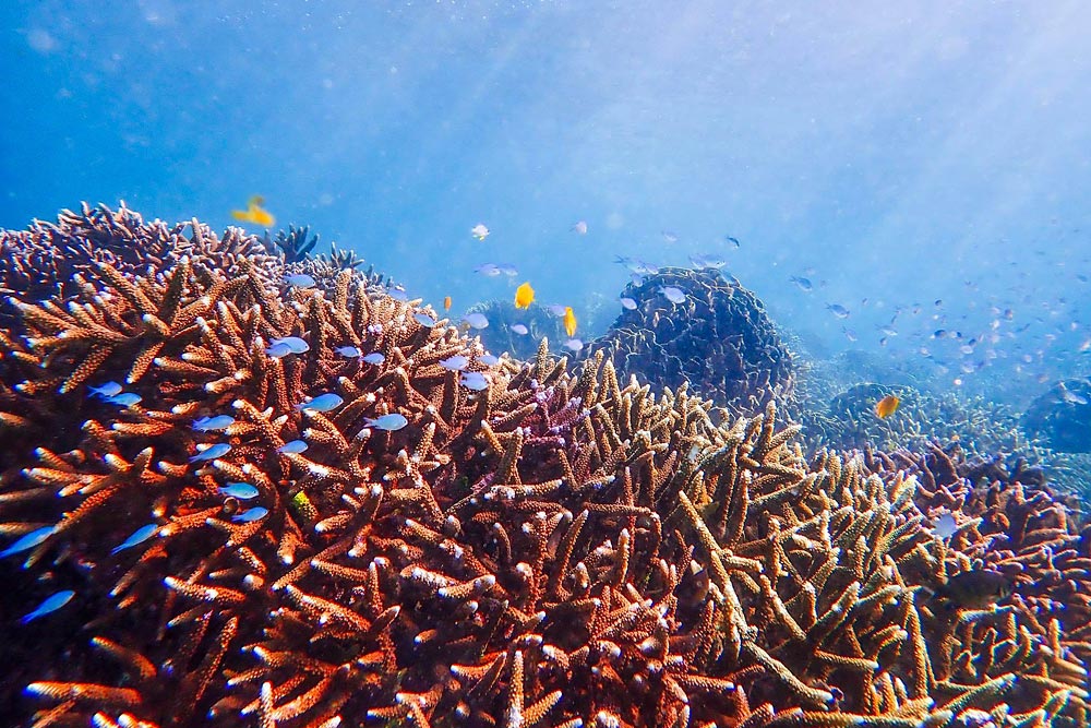 ทัวร์เกาะนาคินโย (Boulder Island) กับ Love Andaman