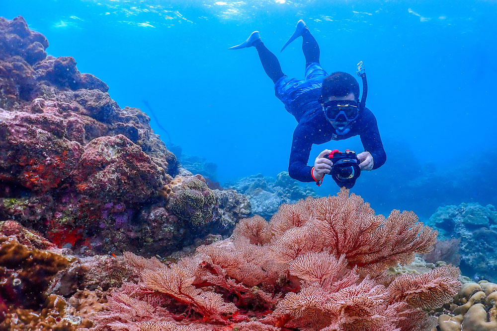 ทัวร์เกาะบรูเออร์และเกาะย่านเชือก โดย Sea Star Andaman